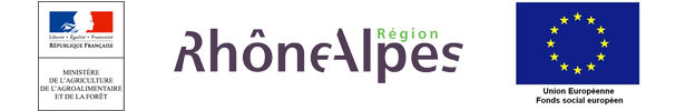 logos_region-rhone-alpes_FSE_Ministere